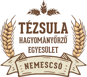 tezsula logo no bg